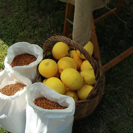 Il Giardino Nell'orto Vetralla