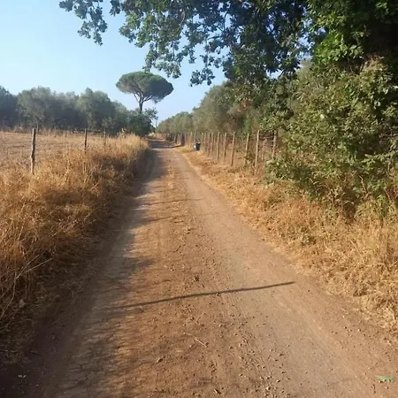 Il Giardino Nell'orto