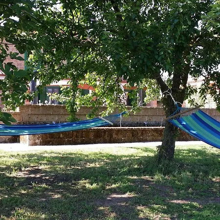 Il Giardino Nell'orto Vetralla